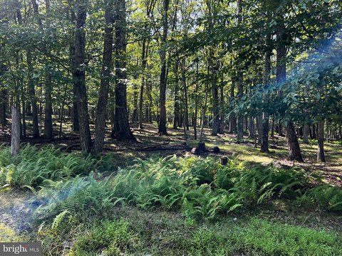 Buildable Lot in Fawn Lake