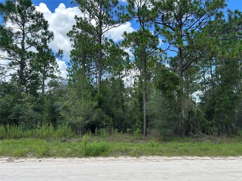 Land, MORRISTON, FL