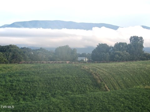 Land with Mountain Views