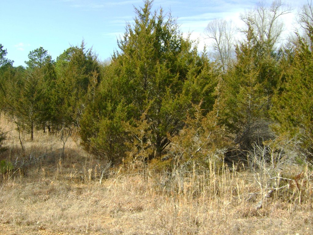 Picture 16