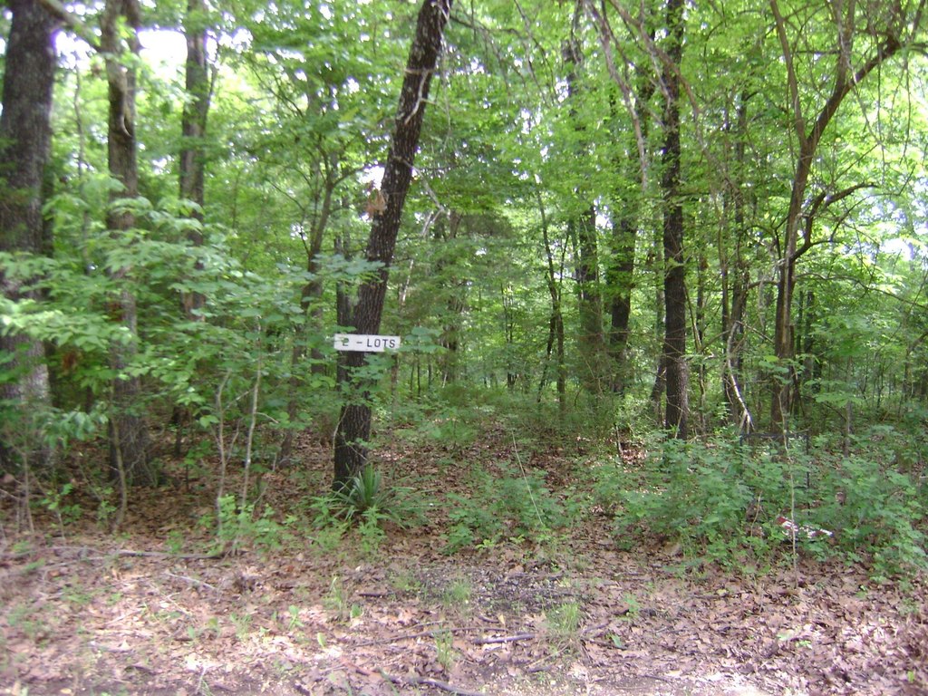 Picture 9