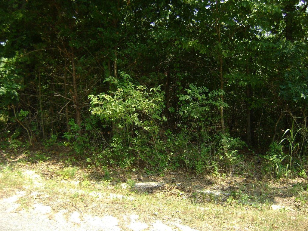 Picture 4
