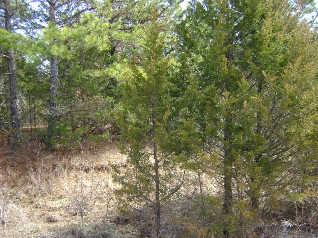 Picture 19