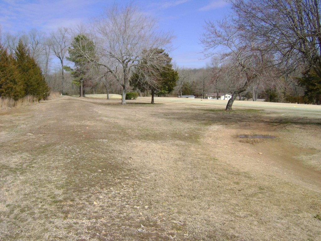 Picture 12
