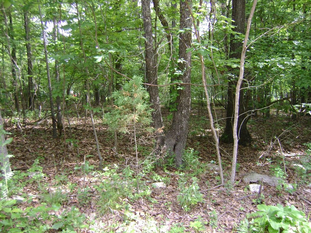 Picture 6