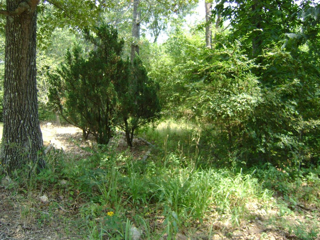 Picture 3