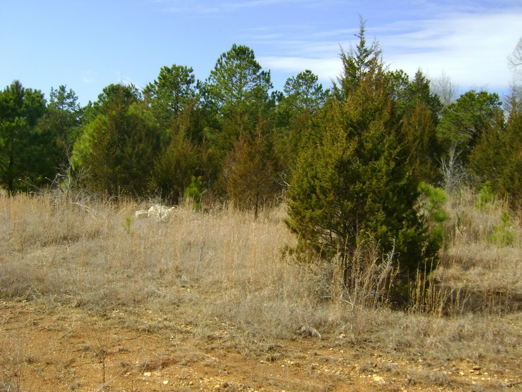 Picture 15