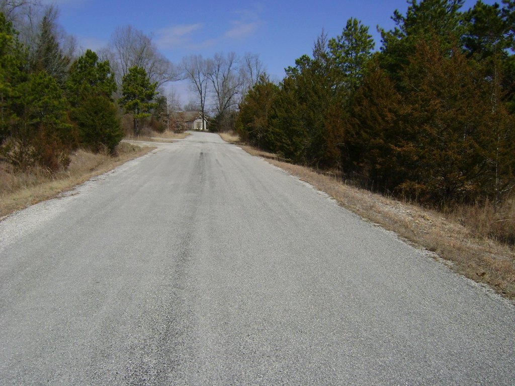 Picture 18