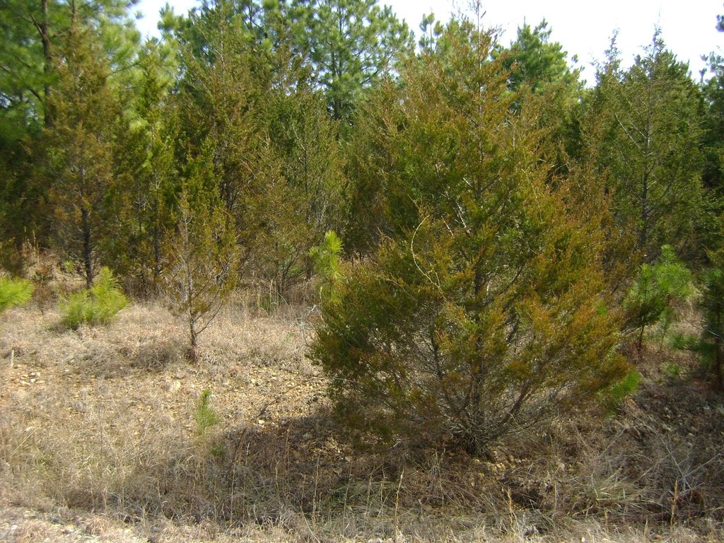 Picture 20