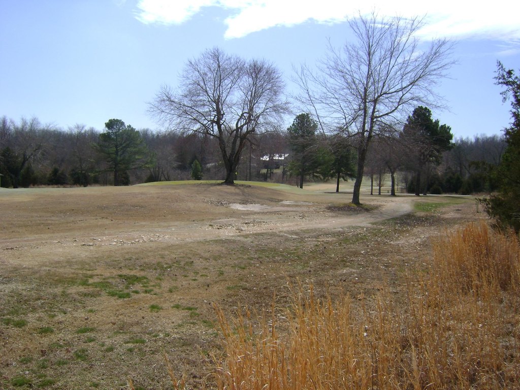 Picture 14