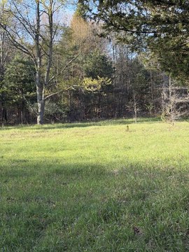 Wooded Land in Pullman, MI