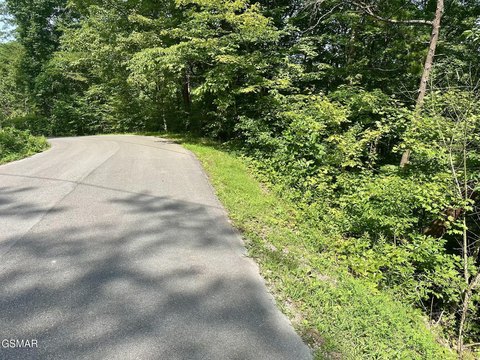 LAND - Sevierville, TN