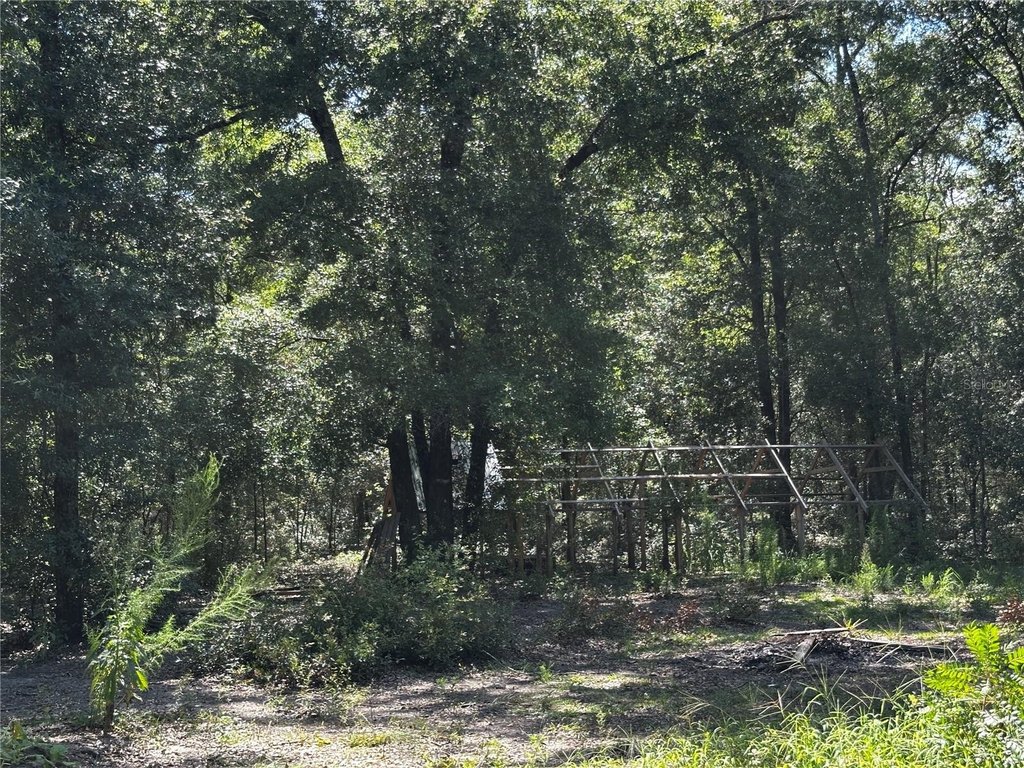 Picture 19