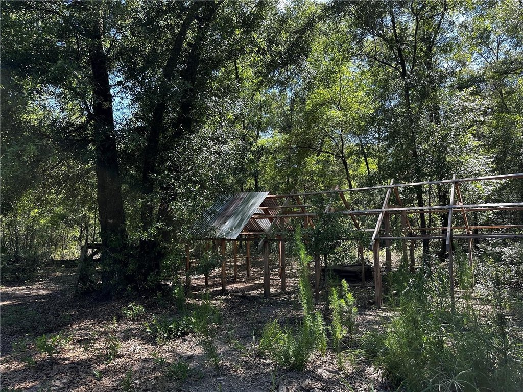 Picture 18