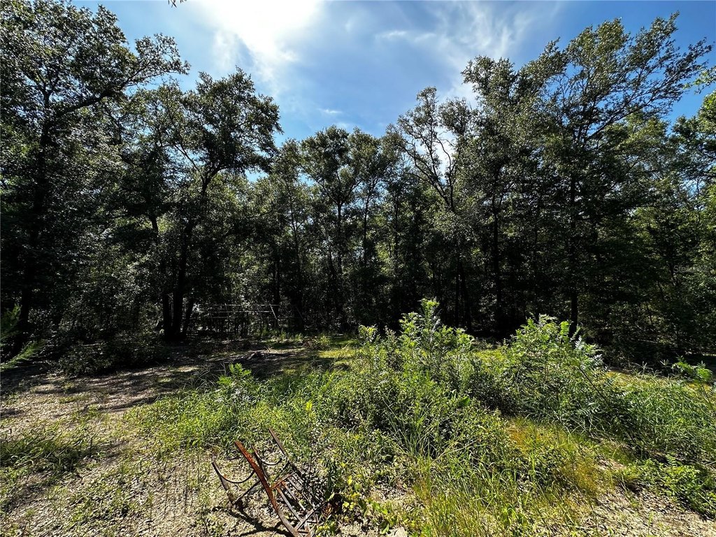 Picture 15