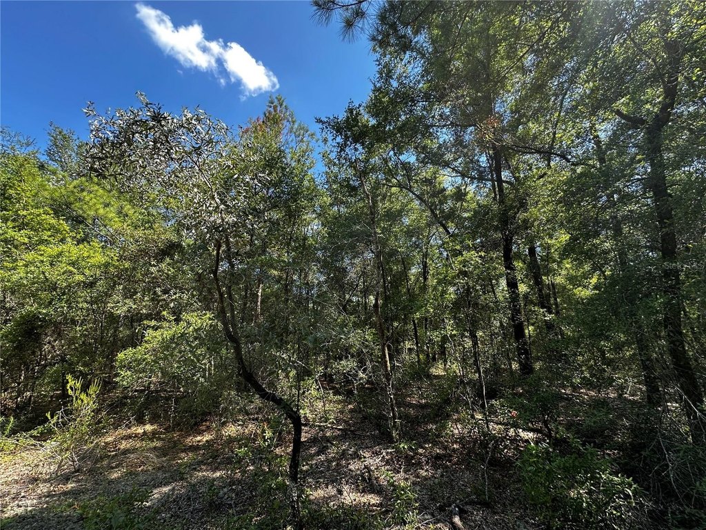 Picture 16