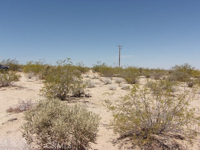 Picture 2