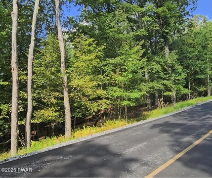 Wooded Lot with Lake Rights