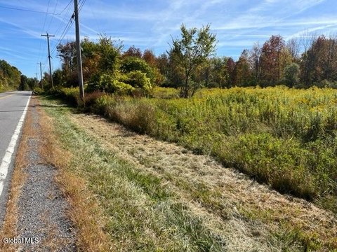 Duanesburg Land with Recreation Potential