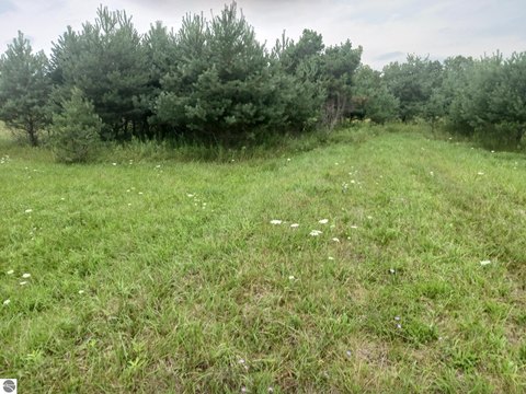 LAND - Prescott, MI