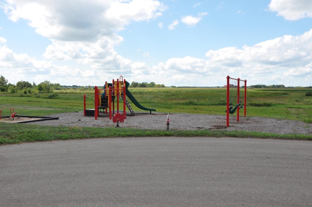 Picture 6