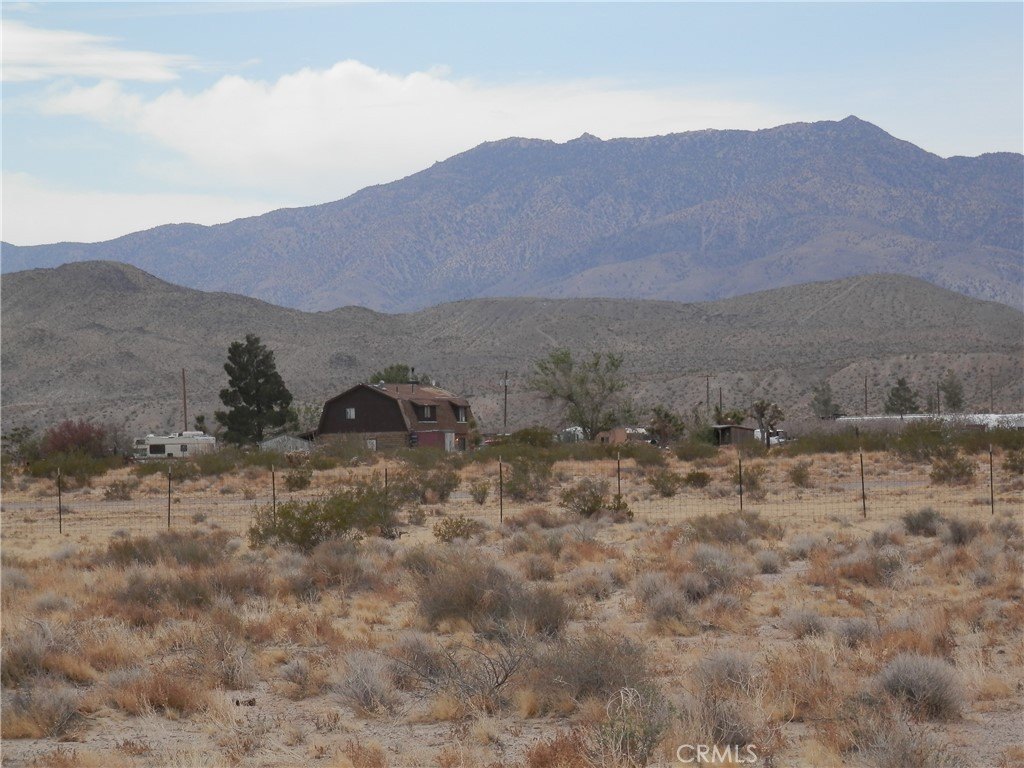 Picture 9