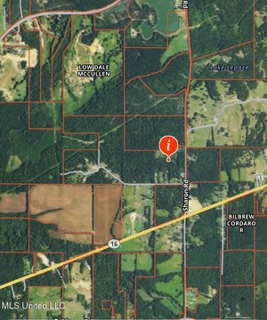 Canton, MS Wooded Acreage