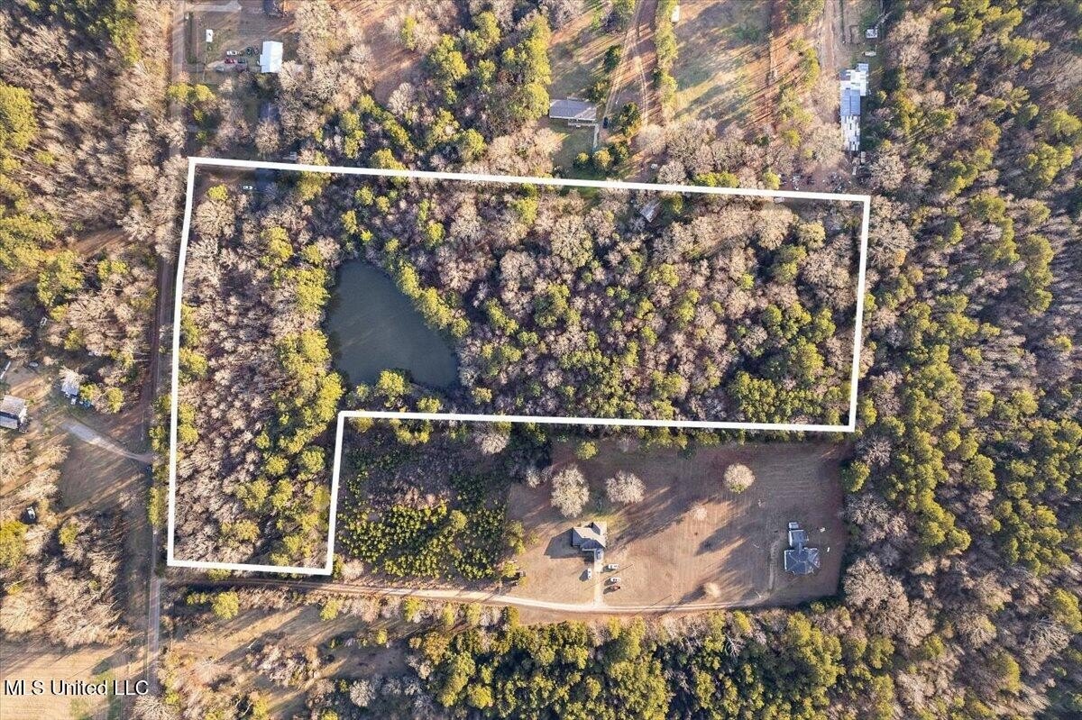 Canton, MS Wooded Land