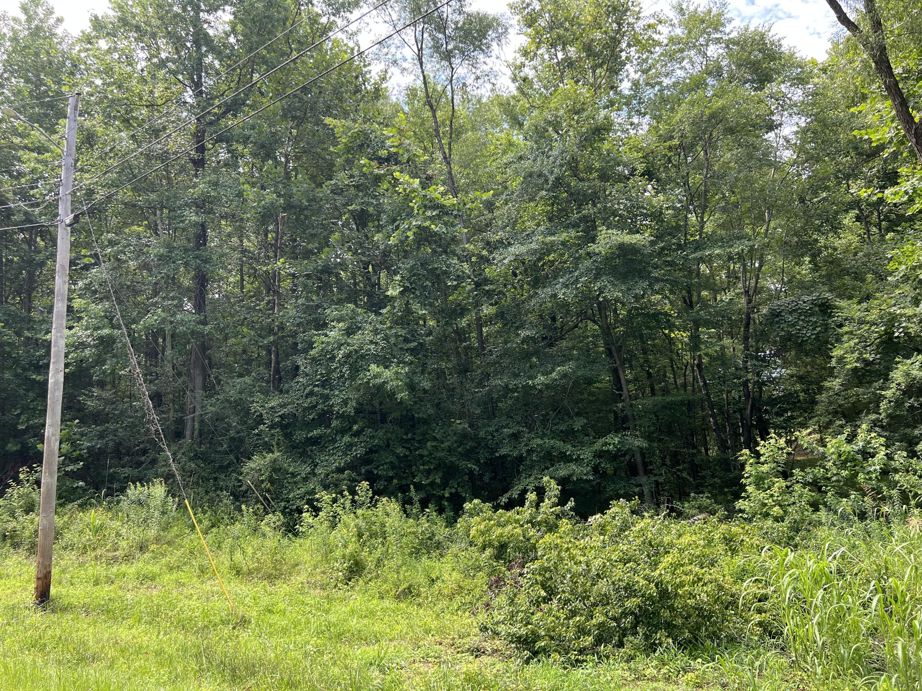 Residential Lot in Booneville, MS