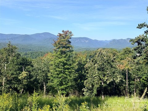 Land, Lake Lure, NC