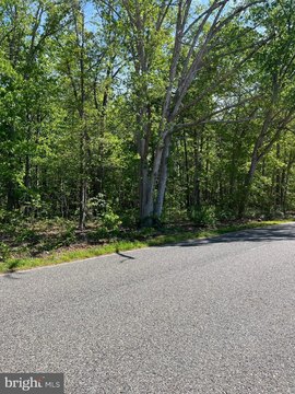Wooded Land in Vineland, NJ