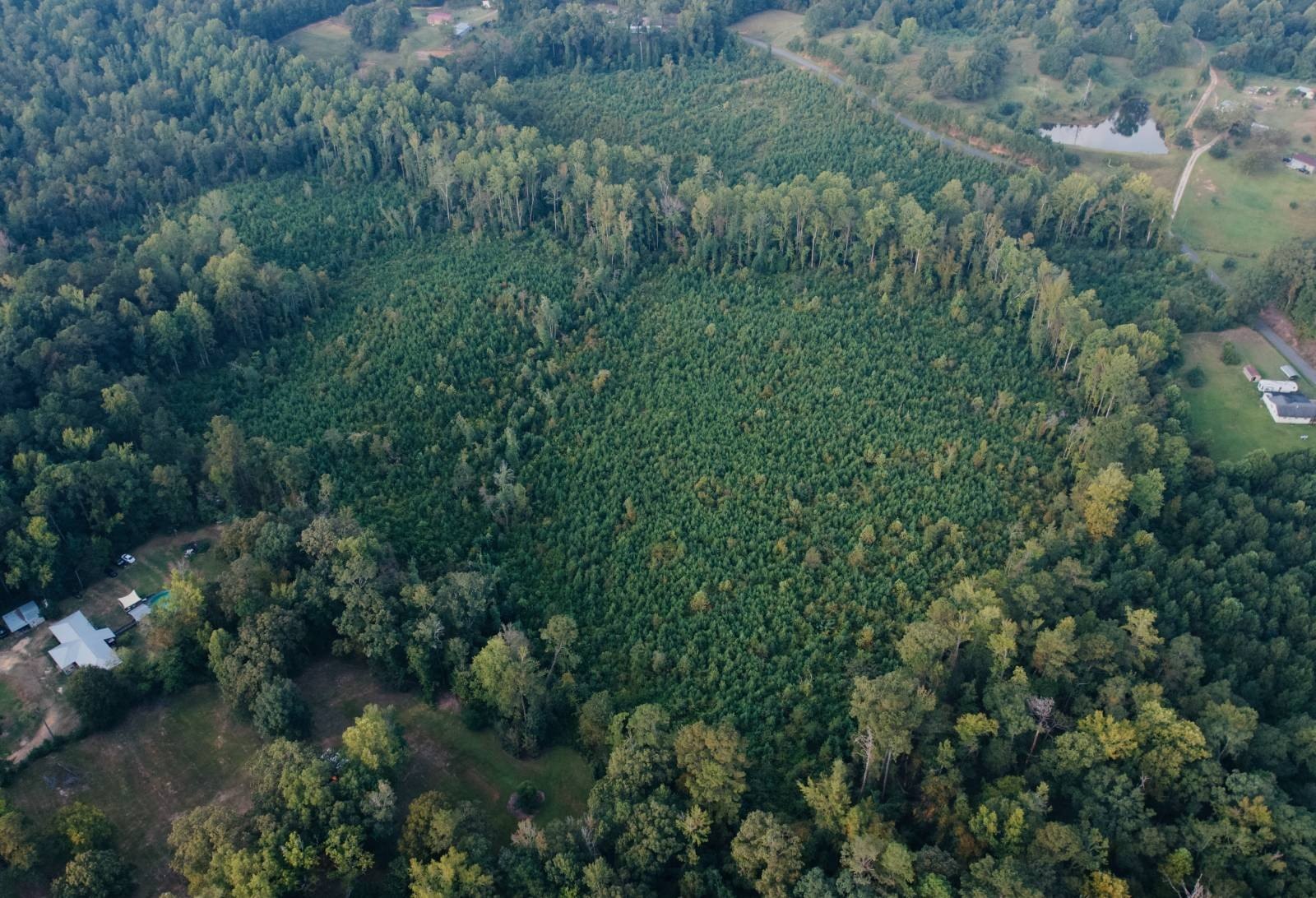 Land Near Okatibbee Lake