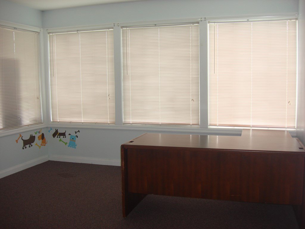 Picture 11