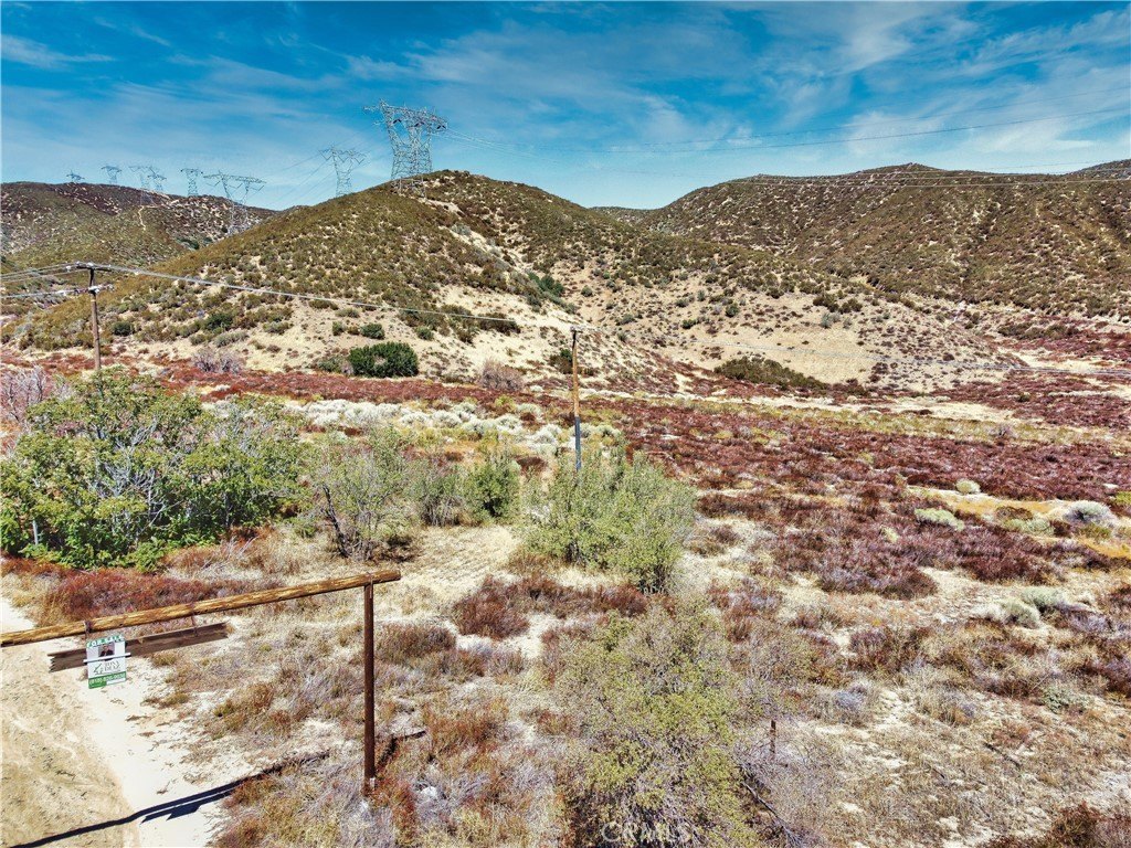 Picture 10