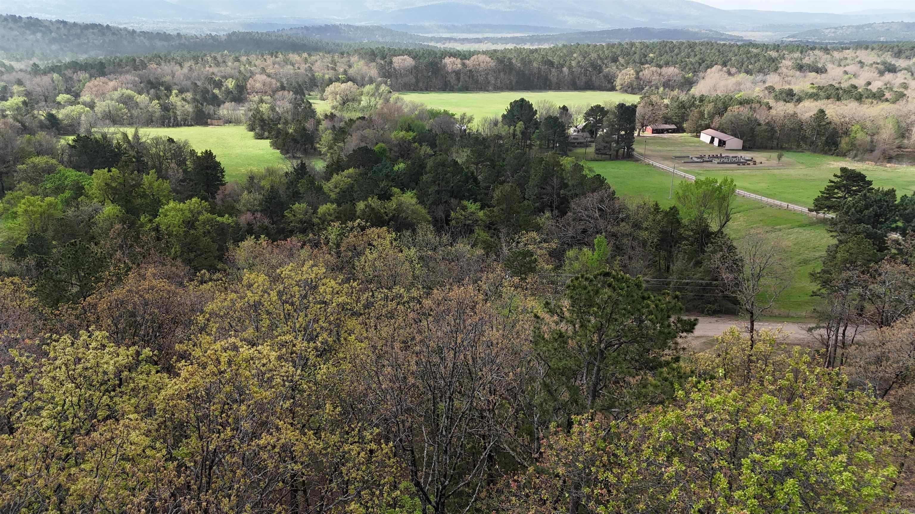 40 Acres Hunting Property