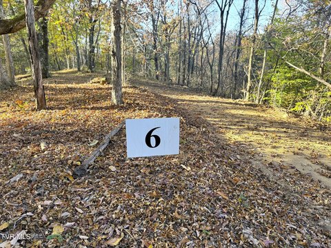 Parrottsville Land Ideal for Homesteading