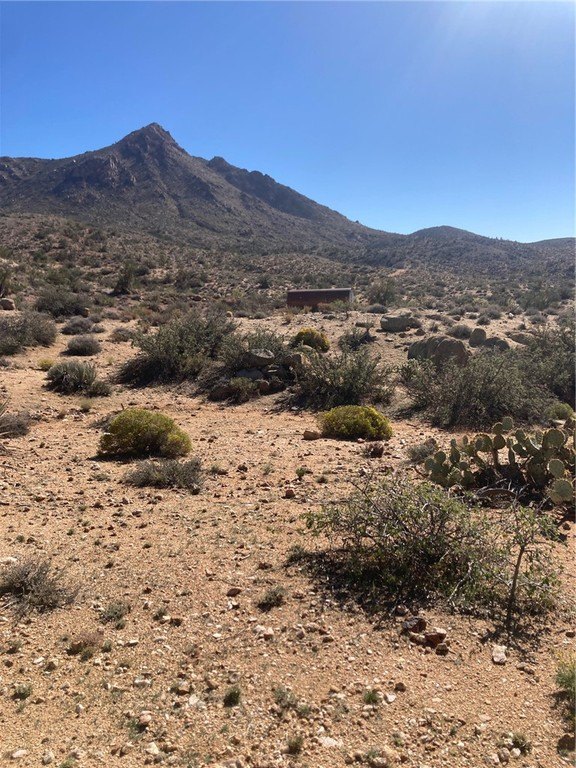 Remote Land with Year-Round Springs