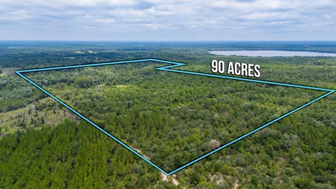 Vernon, FL Land Opportunity