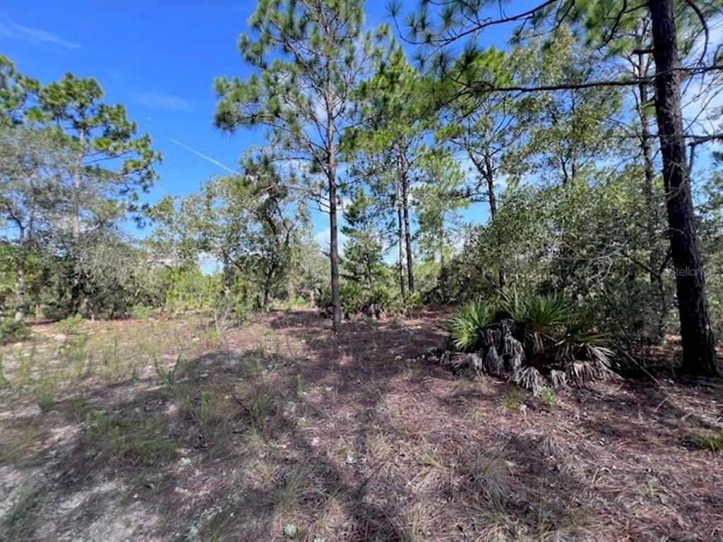 Picture 19