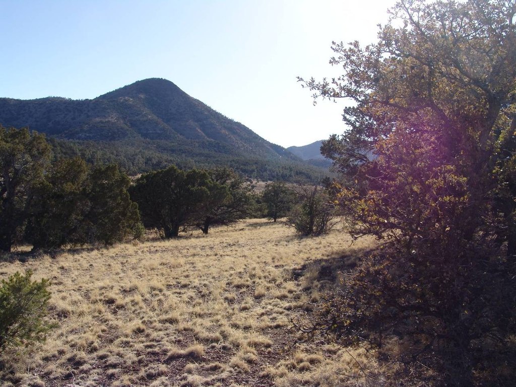 Picture 19