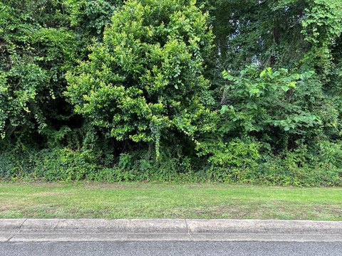 Residential Lot Near Lake Eufaula
