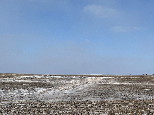Picture 14