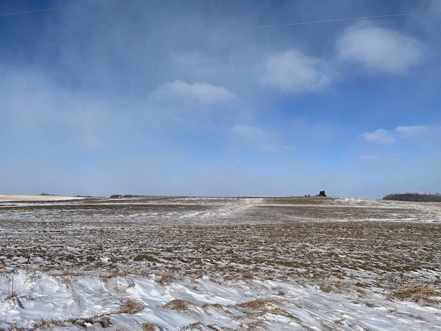 Picture 11