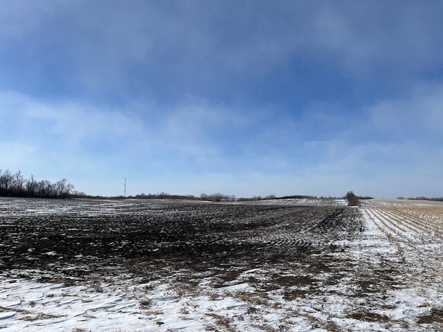 Picture 7