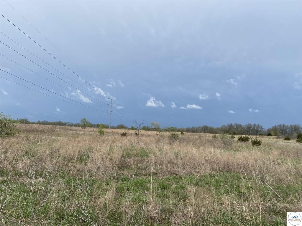 Picture 19