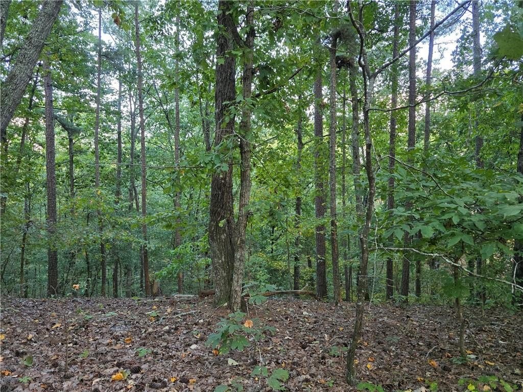 Cartersville Land Ready for Development