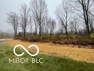Wooded Agricultural Land Parcel