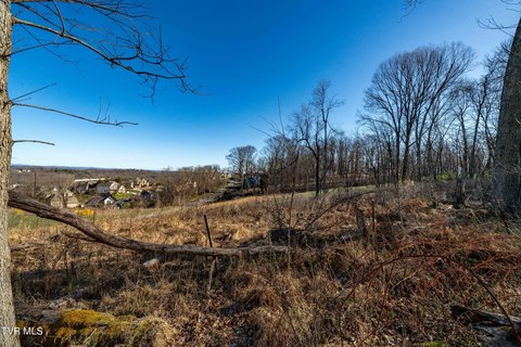 LAND - Johnson City, TN