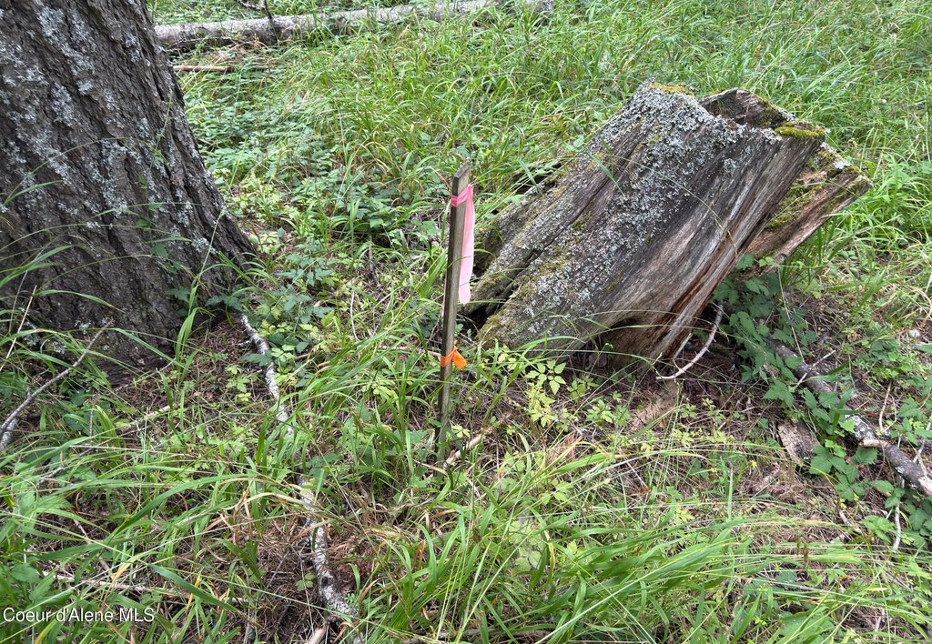 Picture 28