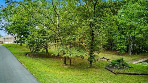 Lake Hamilton Residential Lot